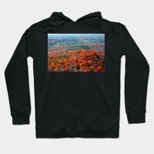 Autumn Mountain View Hoodie